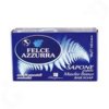 paglieri-felce-azzurra-soap-white-musk-100-g.jpg