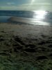 PhotoPictureResizer_170208_184146975-1836x2448.jpg