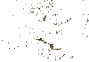 IMG_5490.GIF
