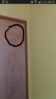 2017-02-12 00.22.39.png