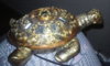 20170212_083442.jpg