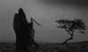 IMG_5653.GIF