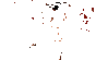IMG_5683.GIF
