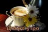 bb9da443ab7cc66c.jpg