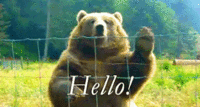 IMG_5692.GIF