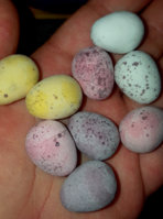 img1487514464907.jpg