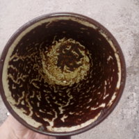 20170224_133847.jpg
