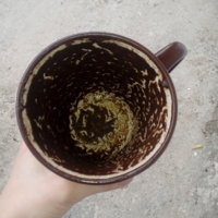 20170224_133837.jpg