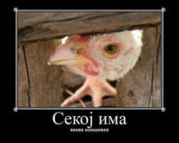FB_IMG_1488010878633.jpg
