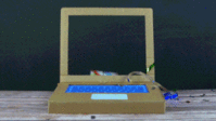 IMG_5949.GIF