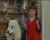 IMG_5984.GIF