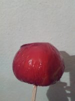 IMG_20170226_004342.jpg