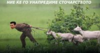 FB_IMG_1488656435444.jpg