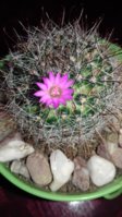 20170305_153952.jpg