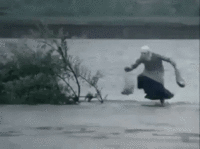 IMG_5986.GIF