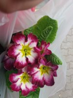 20170306_124554.jpg