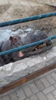 20170306_162319.jpg