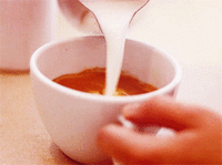 IMG_6140.GIF