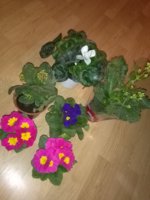 IMG_20170307_193057.jpg