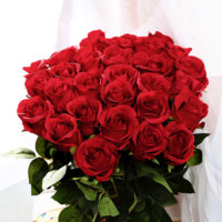 10PCS-LOT-Romantic-Artificial-Simulation-Fake-Silk-font-b-Red-b-font-font-b-Rose-b.jpg