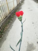 IMG_20170308_133334.jpg