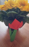 PicsArt_03-08-03.17.08.jpg