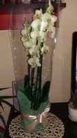 20170310_170007.jpg