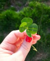 20170315_164627.jpg
