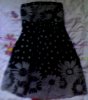 IMG0282A.jpg
