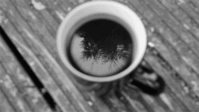 IMG_6717.GIF