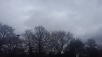 20170320_105142.jpg