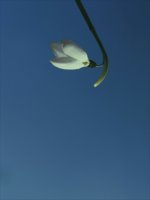 PicsArt_03-21-10.01.51.jpg