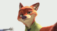 IMG_6843.GIF