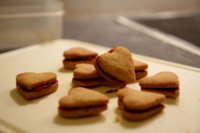 Linzer-Heart-Sandwich-Cookies-Mini-Hearts-700x466.jpg