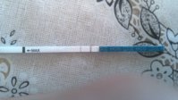 IMG_20170325_083043.jpg