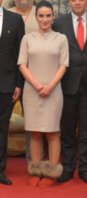 image.jpeg