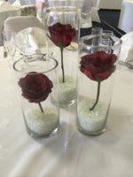 Cylinder_Vase_Red_Rose.jpg