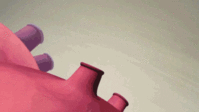IMG_7311.GIF
