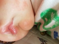 20170404_131219.jpg