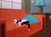 IMG_7328.GIF