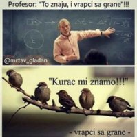 FB_IMG_1491351083565.jpg