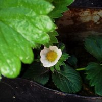 20170405_103859.jpg