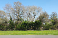 img1491739095990.jpg