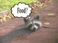 IMG_7424.GIF