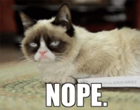 IMG_7427.GIF