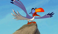 IMG_7436.GIF