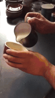 i09ucikbPnhrq.gif