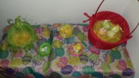 20170412_120646.jpg
