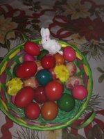 IMG_20170413_105623.jpg