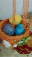 IMG_20170413_145125.jpg